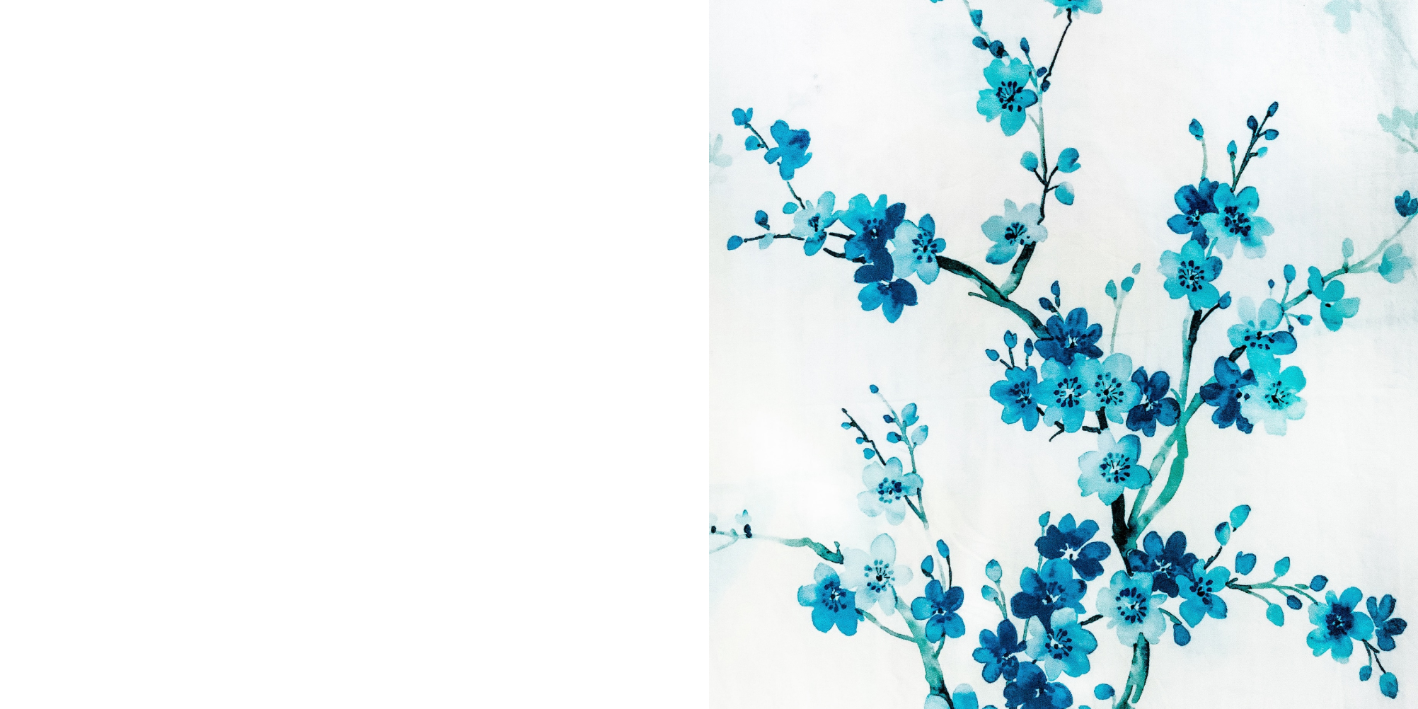 section background