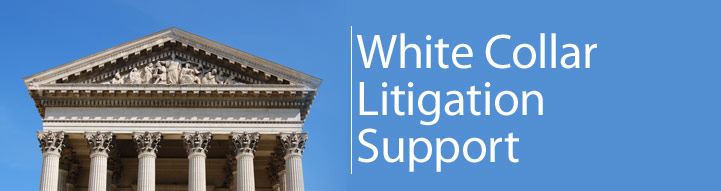 White Coller Litigation Support
