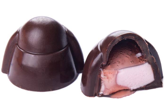 MARIE-HENRIETTE DARK CHOCOLATE, MOUSSE WITH CRANBERRIES BY GENAUVA CHOCOLATES