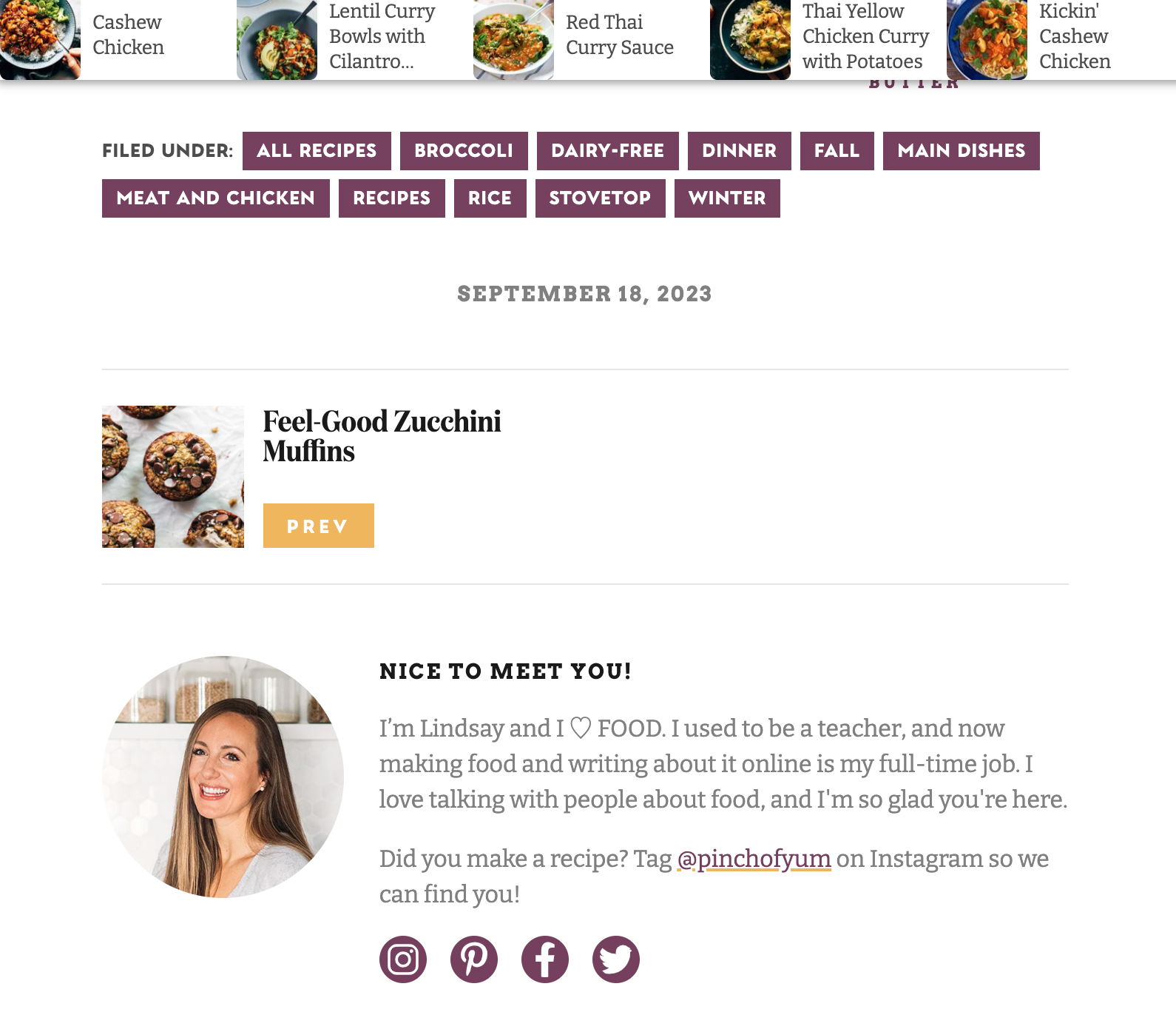 Recipe food blogger's social media icons